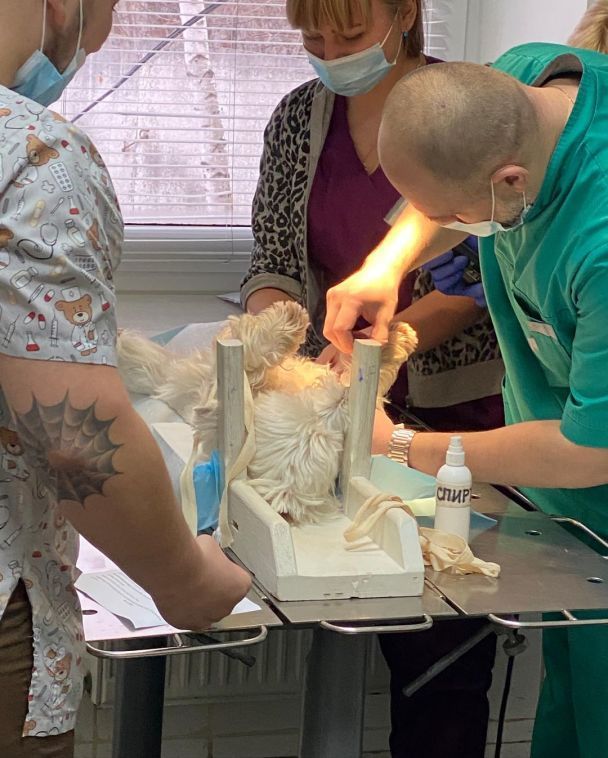  / © instagram.com/lesia_nikituk