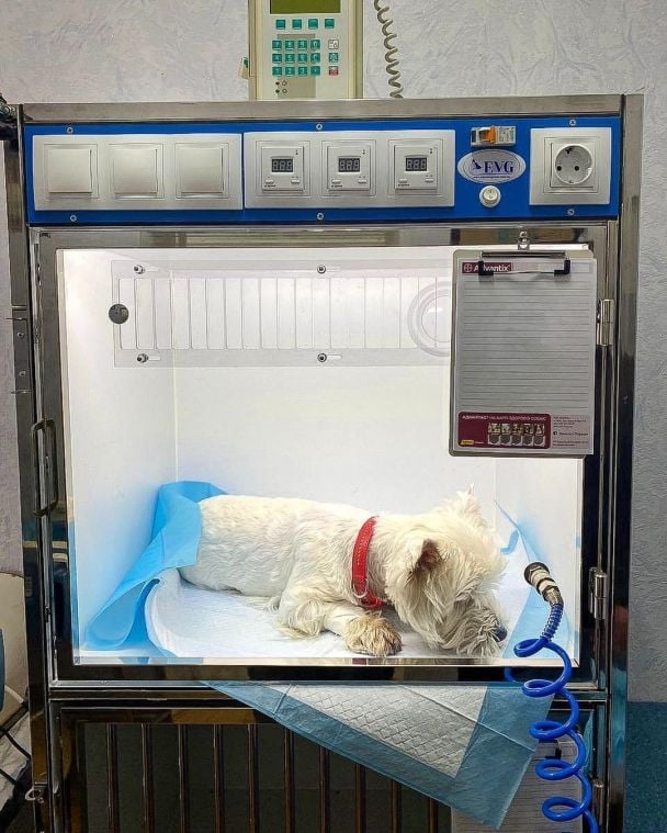  / © instagram.com/lesia_nikituk