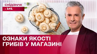 Як правильно вибирати гриби у супермаркеті? | Знаю – споживаю