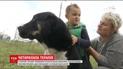 В Україні набирає популярності каністерапія - реабілітація дітей з допомогою собак