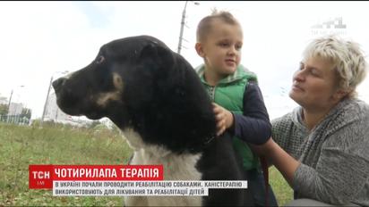 В Україні набирає популярності каністерапія - реабілітація дітей з допомогою собак