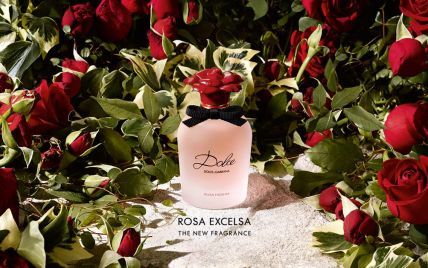 Готовимся к празднику: парфюмерная новинка от Dolce & Gabbana