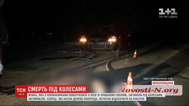 Под Николаевом машина насмерть сбила женщину, которая убегала со срубленной сосной