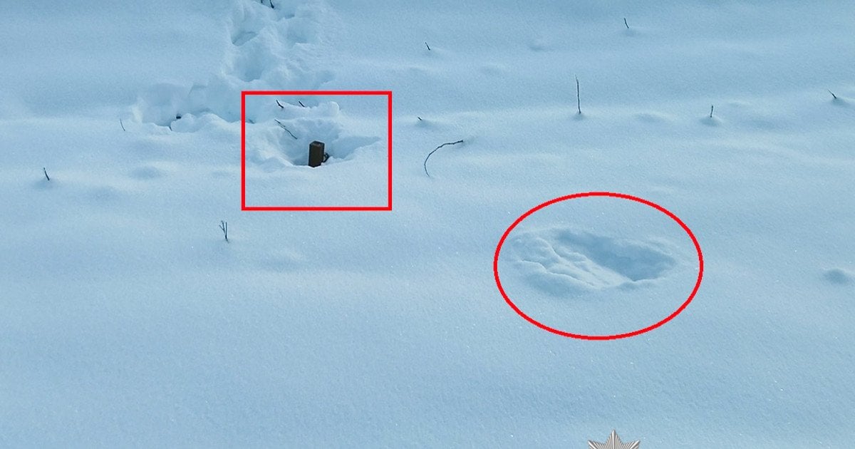 "Шахеди" скинули протитанкові міни біля залізниці на Рівненщині