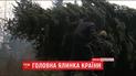 Главную елку страны срубили и загрузили в специальную фуру