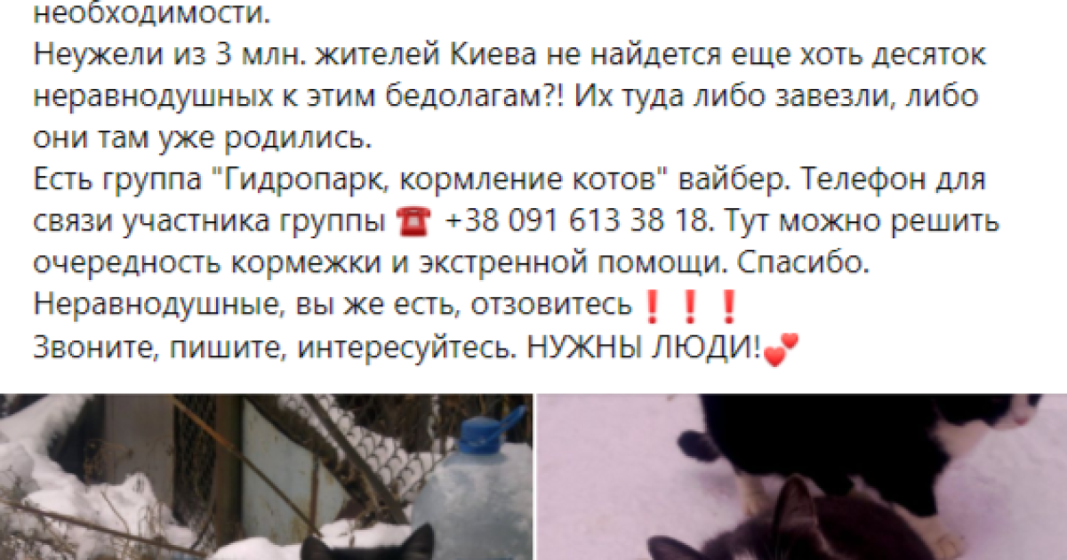 Фото: facebook.com/Київські хвости