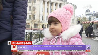 Как готовятся украинцы к новогодним праздникам