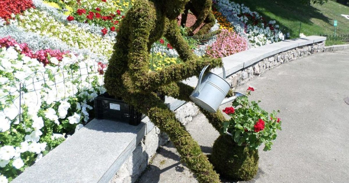 Флористические композиции на Певческом поле в Киеве / © KudaGo.com