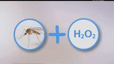 Позбутися свербіння після комариного укусу допоможе перекис водню
