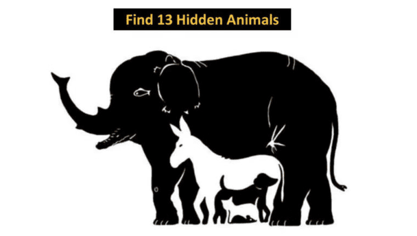 Візуальний тест / Джерело: The Minds Journal