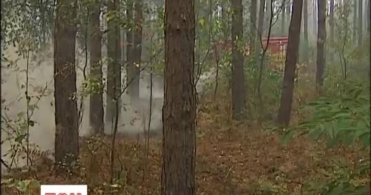 Очагов возгорания было несколько