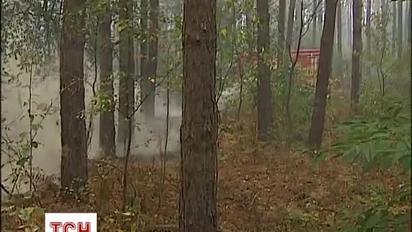 Под Броварами ветер разносит лесной пожар