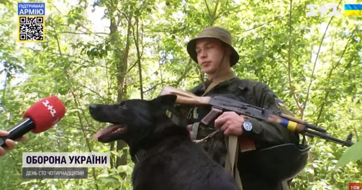 Службовий пес майже тиждень йшов під обстрілами до свого господаря на блокпост на Київщині