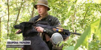 До слез: служебная собака помнила запах своего товарища и нашла его на передовой
