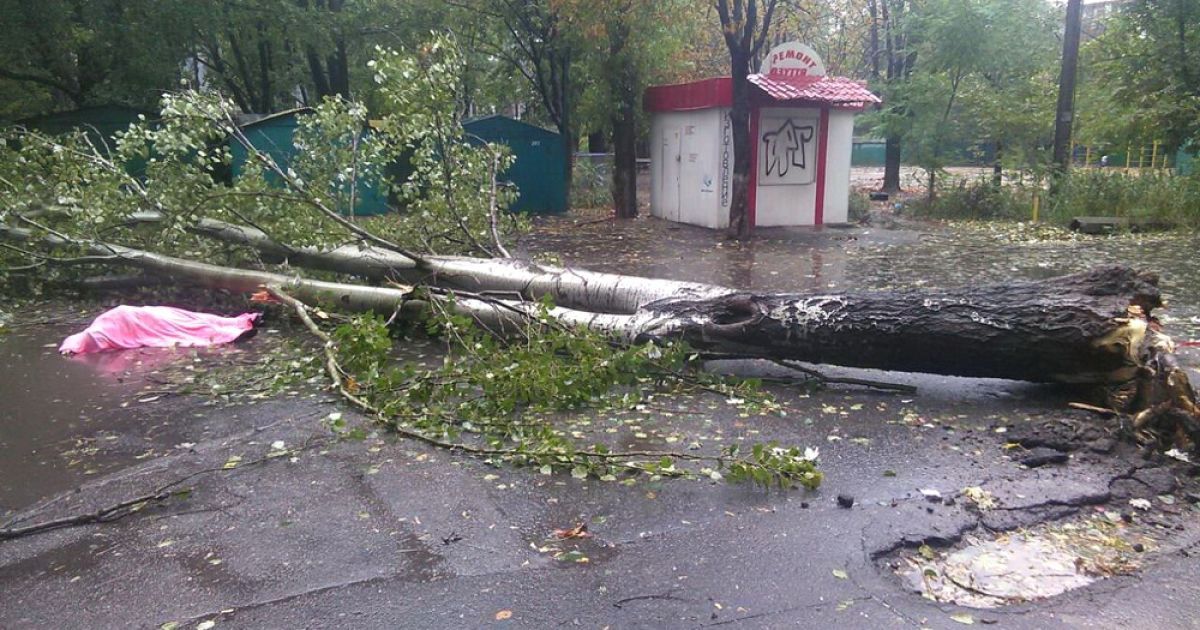 В Україні вирує негода: троє загиблих та сотні знеструмлених населених пунктів