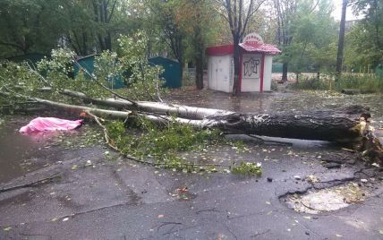 В Украине бушует непогода: трое погибших и сотни обесточенных населенных пунктов