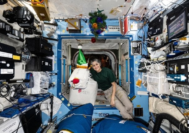 Експедиція 72 (2024–2025 рр.): Сані Вільямс демонструє святкову прикрасу у вигляді оленя Рудольфа; / © popsci.com