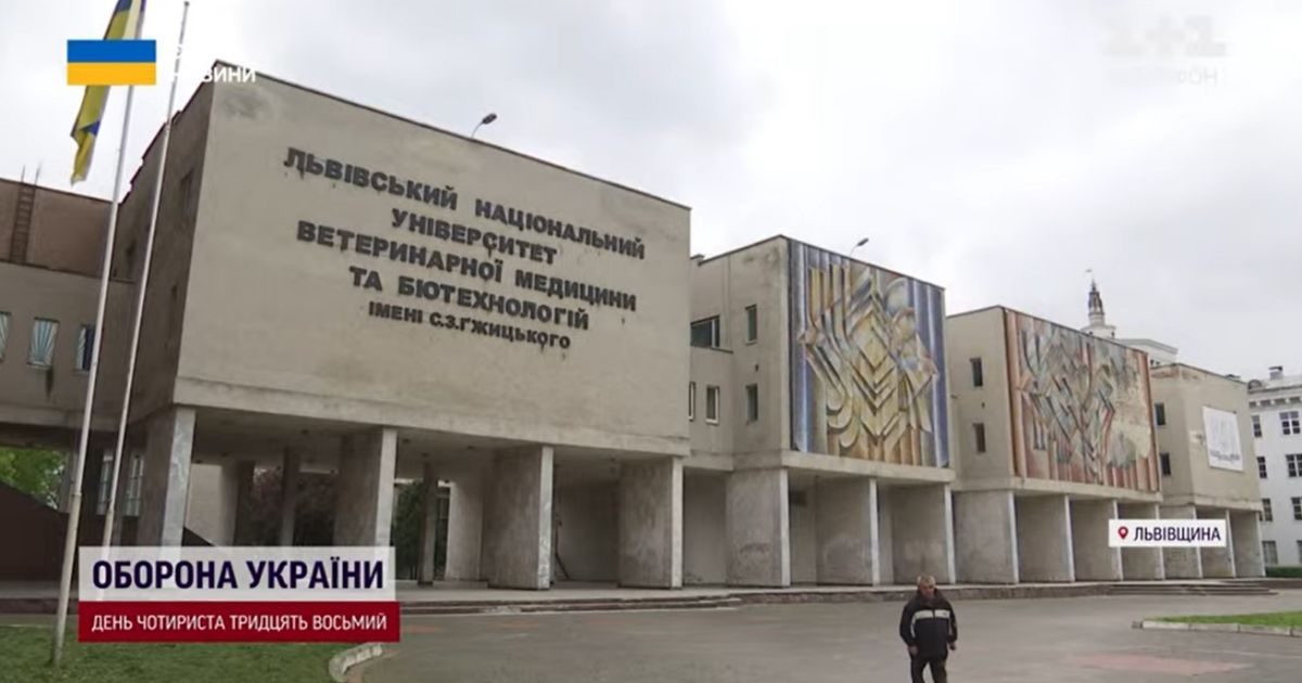 Андреев становится преподавателем университета ветеринарной медицины и биотехнологий и возглавляет кафедру права.