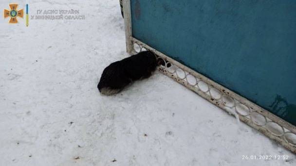  / © ГУ ДСНС Украины в Винницкой области
