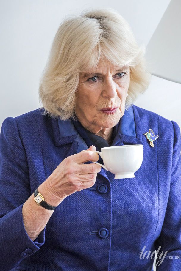 Герцогиня Корнуольська Камілла / © Getty Images