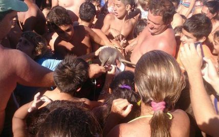 Туристы в Аргентине своими селфи убили детеныша дельфина