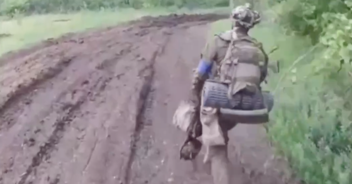 Боєць Міжнародного легіону ГУР / Фото: скриншот