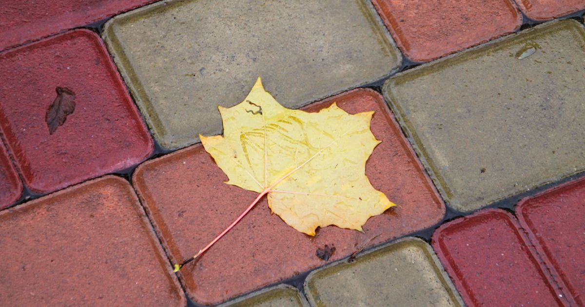 Від потепління до похолодання. Синоптики спрогнозували погоду на кінець тижня