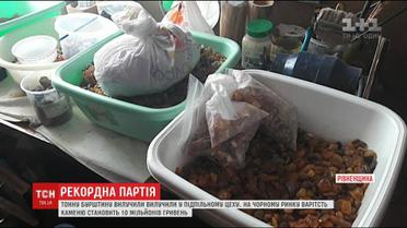 В Ровенской области изъяли янтаря почти на 10 миллионов гривен