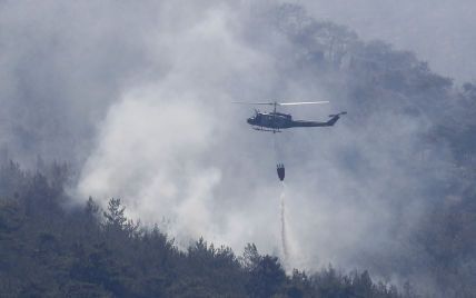 В Сирии за поджог лесов казнили более двух десятков человек