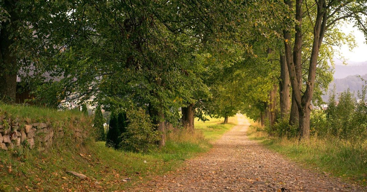 В Україні досі триває метеорологічне літо