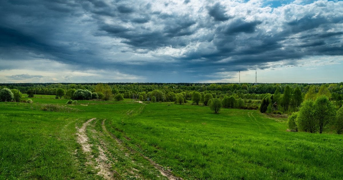 Синоптики розповіли, якою буде погода в Україні 28 травня