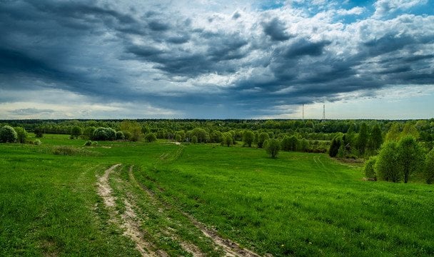 Народні прикмети 14 травня / © pexels.com