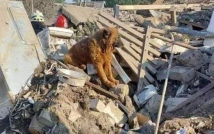 На руинах выл старый пес Крым: в Днепре российская ракета убила жену и двоих детей воина ВСУ