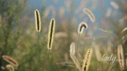 Весенний пейзаж