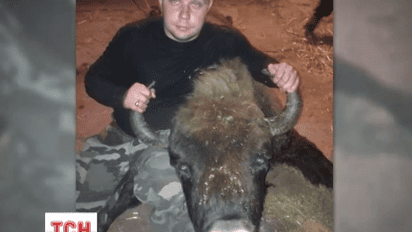 На Сумщине один из руководителей лесхоза устроил охоту на "краснокнижных" зубров