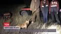 В Запорожье спасли пса, который просидел в шахте заброшенного завода с мая