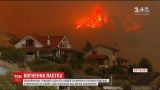 По меньшей мере 39 человек погибли в лесных пожарах в Португалии и Испании
