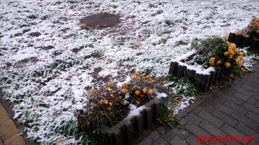 сніг у Вінниці 13 жовтня_7 / © Вінниця.Info