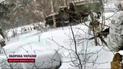 Неожиданность для российского оккупанта! РДК устроили засаду на Брянщине