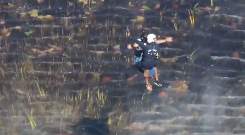 Пілот провів ніч у болоті з алігаторами / © скриншот з відео