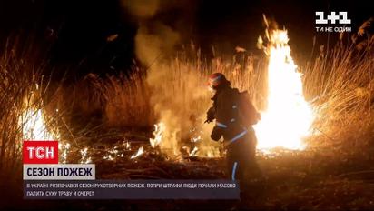 Новости Украины: начался сезон рукотворных пожаров