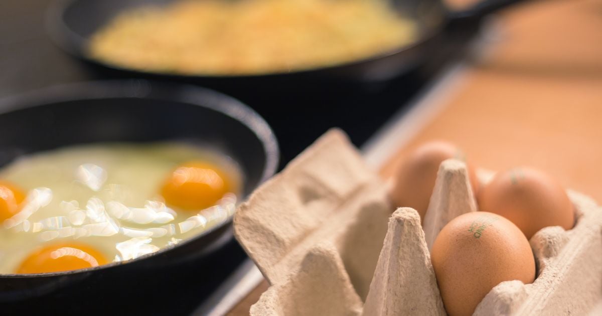 В Украине выросла стоимость яиц: в чем причина удорожания