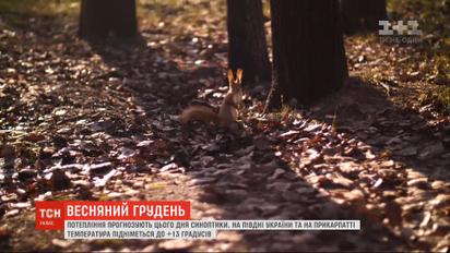 Весна накануне Нового года: в Украину пришло потепление