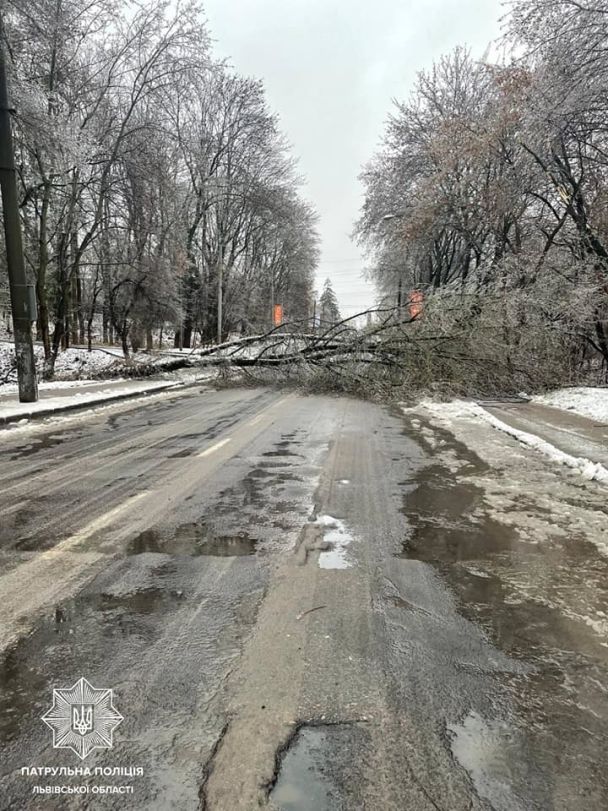 © www.facebook.com/Патрульна поліція Львівської області