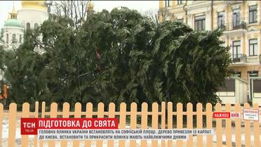 Главная елка уже на Софийской площади