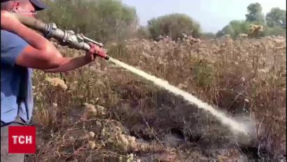 В Киеве ухудшилось качество воздуха! В области горят торфяники