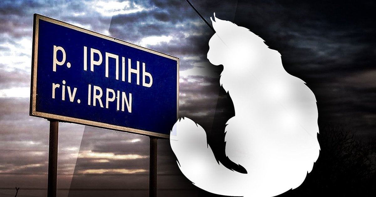 Вбивство кота в Ірпені