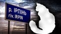 Вбивство кота в Ірпені