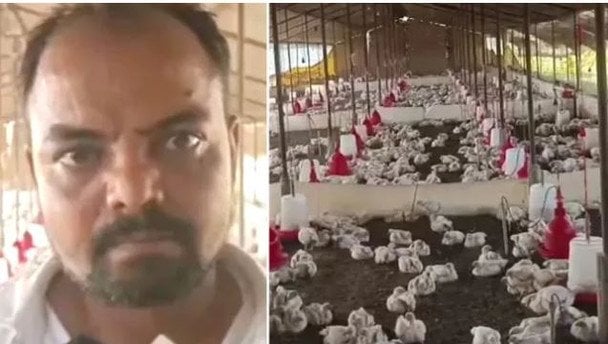 Фото Contributed