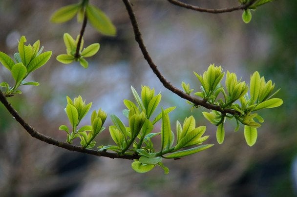 Народні прикмети 21 травня / © pexels.com